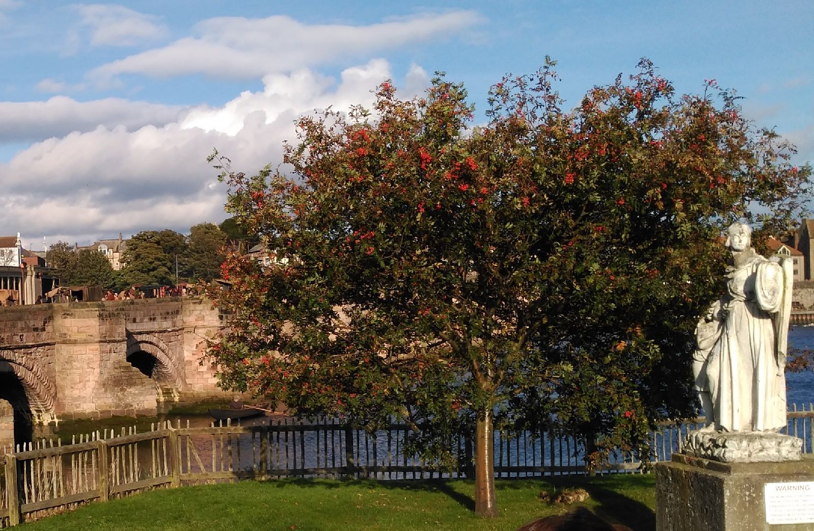 Rowan tree and angel statue previously