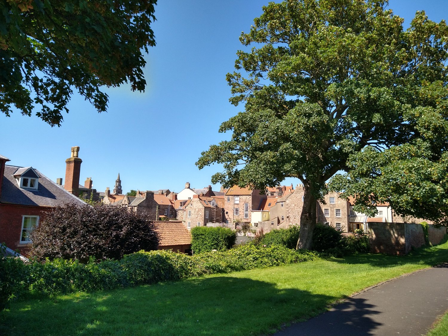 Another view from the Walls towards the Grammar School